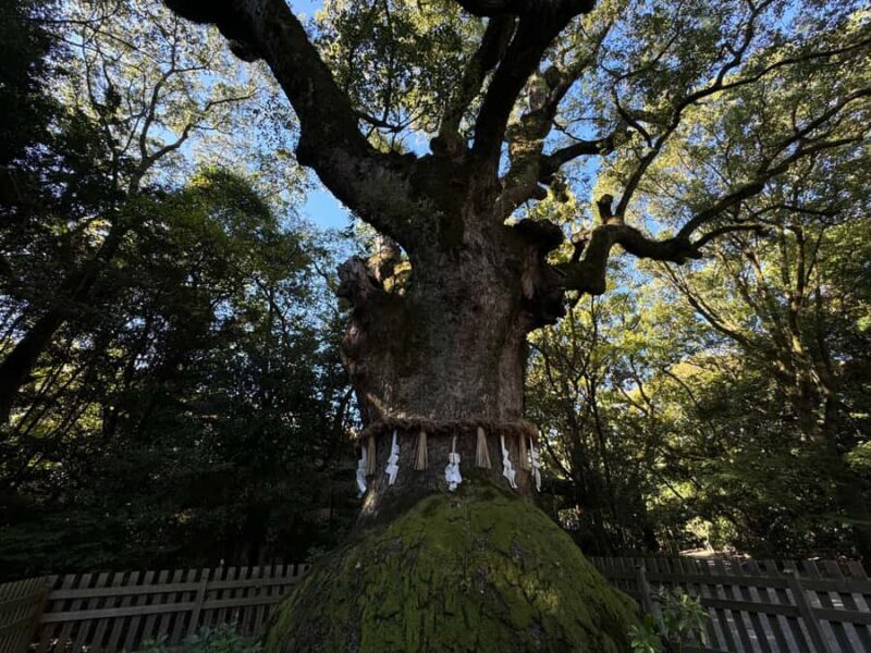 Nagoya: Private Day Tour to Toyota Museum, Castle & Shrines - FAQs