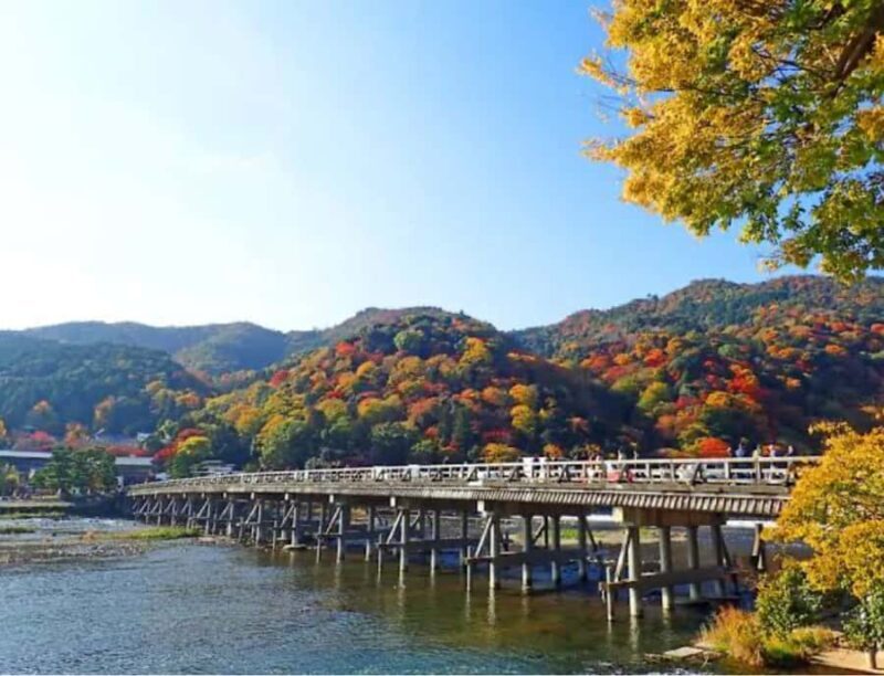 Nagoya: Private Kyoto Day Trip with Guide and Driver - The Itinerary Breakdown: What to Expect