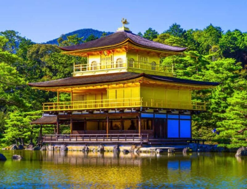 Nagoya: Private Kyoto Day Trip with Guide and Driver - Good To Know