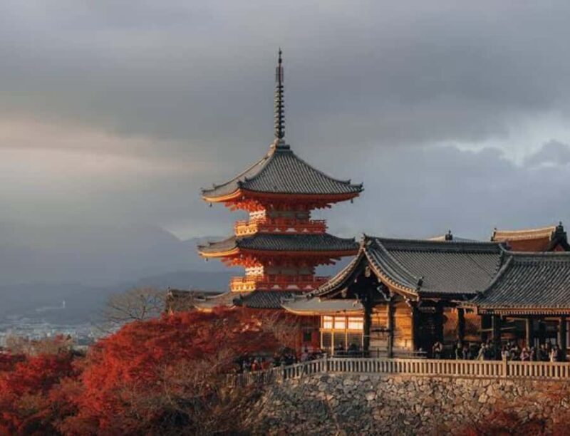 Nagoya: Private Kyoto Day Trip with Guide and Driver - Transportation and Timing