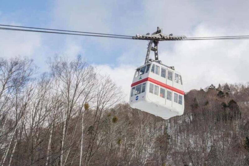 Nagoya return day tour Shin-Hotaka Ropeway& Hida Takayama - Authentic Insights from Reviews
