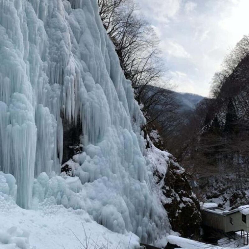 Nagoya return day tour Shin-Hotaka Ropeway& Hida Takayama - Practical Details and What to Expect