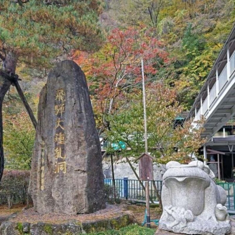 Nagoya return day tour Shin-Hotaka Ropeway& Hida Takayama - The Sum Up