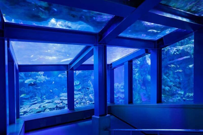 Nagoya Return, Ise Shrine, Mikimoto Pearl Island & Toba Tour - FAQ