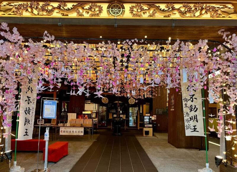 Nagoya Sakura Tour - Introduction