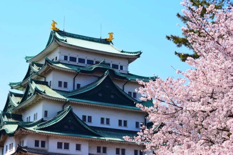 Nagoya Sakura Tour - Who Would Love This Tour?