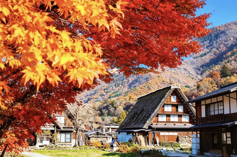 Nagoya Shirakawa-go and Takayama Full-Day Guided Tour - A short lunch break, not a leisurely meal