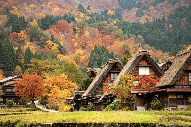 Nagoya Shirakawa-go and Takayama Full-Day Guided Tour - The guide makes a real difference