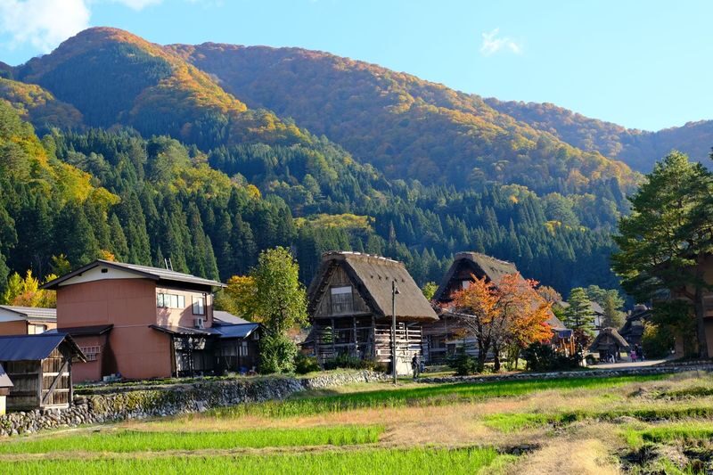Nagoya Shirakawa-go and Takayama Full-Day Guided Tour - Weather, road closures and the return to Nagoya