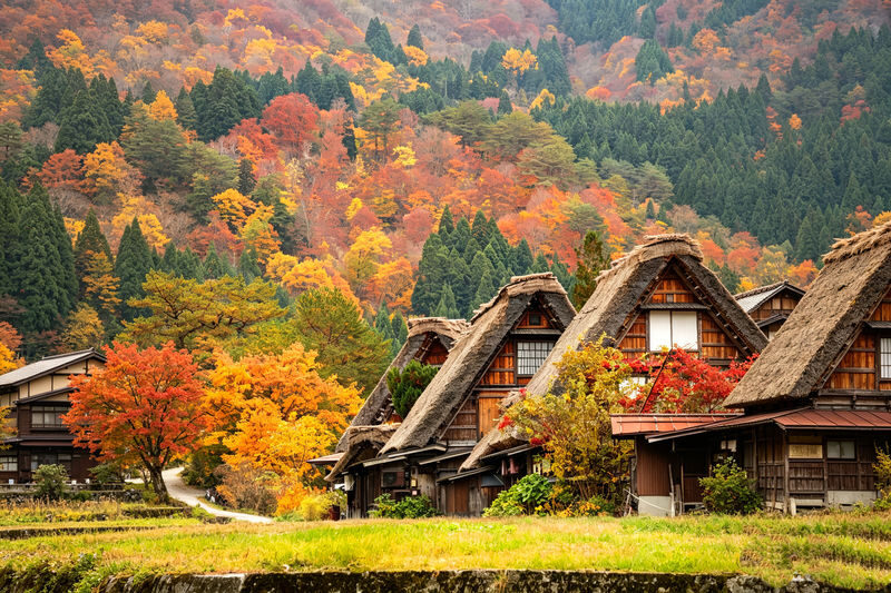 Nagoya, Shirakawa-go, and Takayama One-Day Cultural Tour - Shirakawa-go: farmhouses beneath the mountains