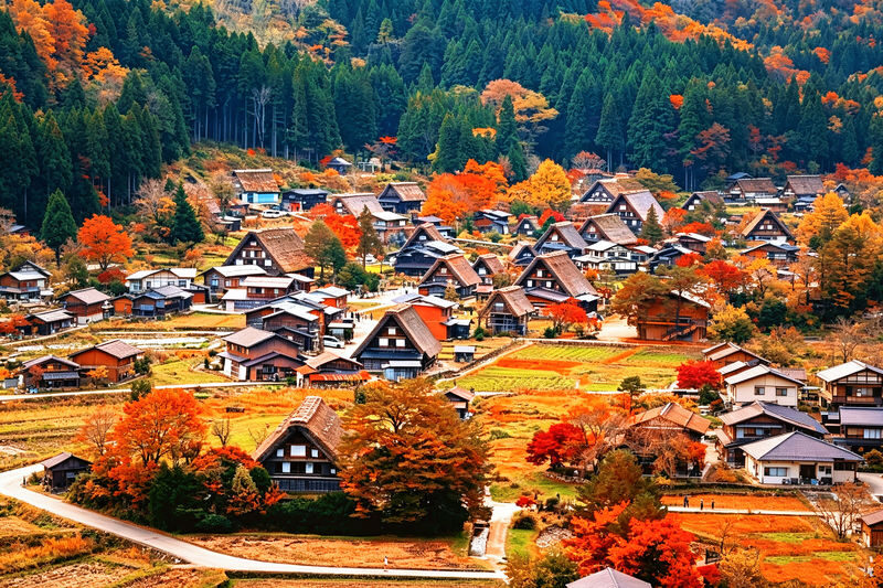 Nagoya, Shirakawa-go, and Takayama One-Day Cultural Tour - The pace, transport, and guide arrangements