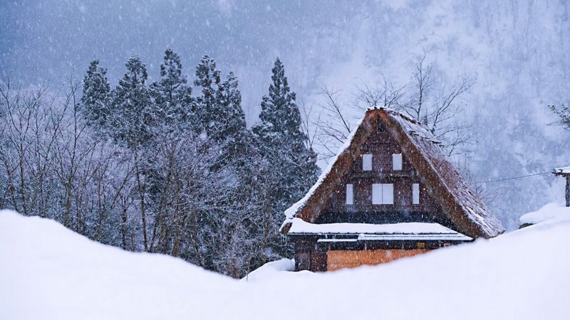 Nagoya, Shirakawa-go, Gujo Hachiman, and Takayama World Heritage Day Tour - Takayama and the value of local explanations