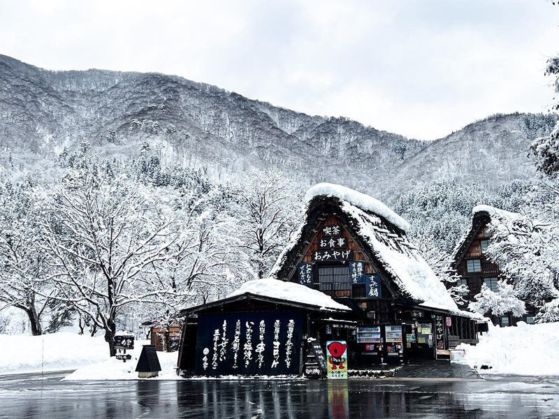 Nagoya, Shirakawa-go, Gujo Hachiman, and Takayama World Heritage Day Tour - Is $49.19 good value?