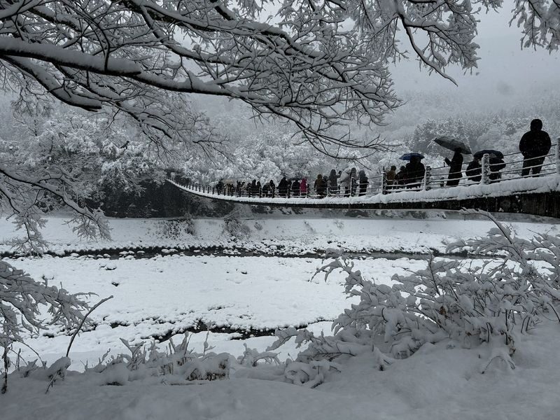 Nagoya, Shirakawa-go, Gujo Hachiman, and Takayama World Heritage Day Tour - Who should book this day tour?