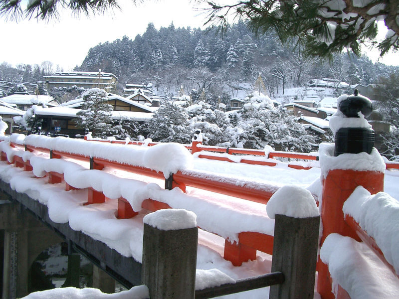 Nagoya, Shirakawa-go, Gujo Hachiman, and Takayama World Heritage Day Tour - Should you book it?