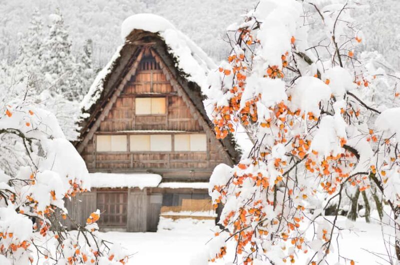 Nagoya: Shirakawa-go, Gujo, Hida Takayama Historic Day Tour - Hida Takayama – Old Town and Festivals