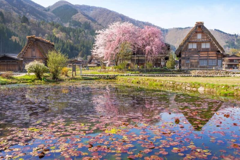 Nagoya: Shirakawa-go, Gujo, Hida Takayama Historic Day Tour - Return Journey and End of Tour