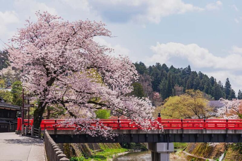 Nagoya: Shirakawa-go, Gujo, Hida Takayama Historic Day Tour - FAQ