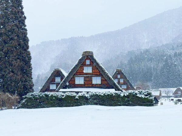 Nagoya: Shirakawa-go, Gujo, Hida Takayama Historic Day Tour - Pricing Information