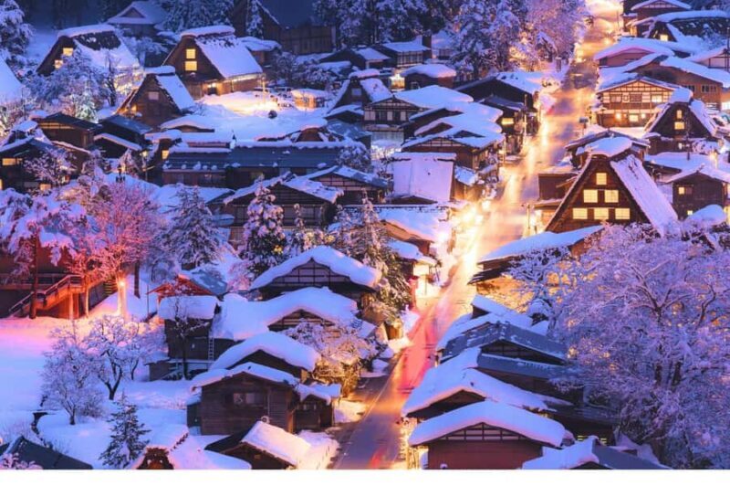 Nagoya: Shirakawa-go & Hida Takayama Old Streets Day Tour - Who Will Love This Tour?