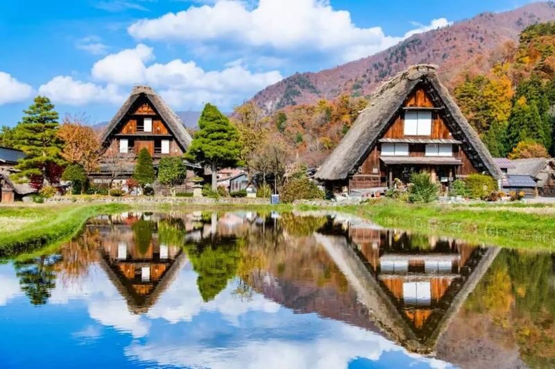 Nagoya Shirakawa-go & Hida Takayama One-Day Tour - Shirakawa-go: gassho houses and the view from above