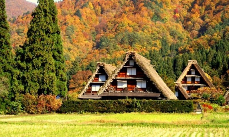 Nagoya Shirakawa-go & Hida Takayama One-Day Tour - The guide and bus shape the day