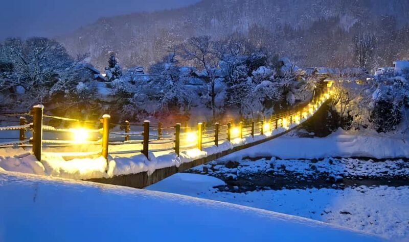 Nagoya : Shirakawa-go Magical Heritage & Takayama Day Tour - Who Is This Tour Best For?  