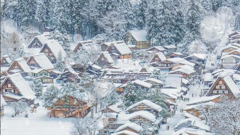 Nagoya : Shirakawa-go Magical Heritage & Takayama Day Tour - The Sum Up: A Well-Rounded Cultural Day Trip  