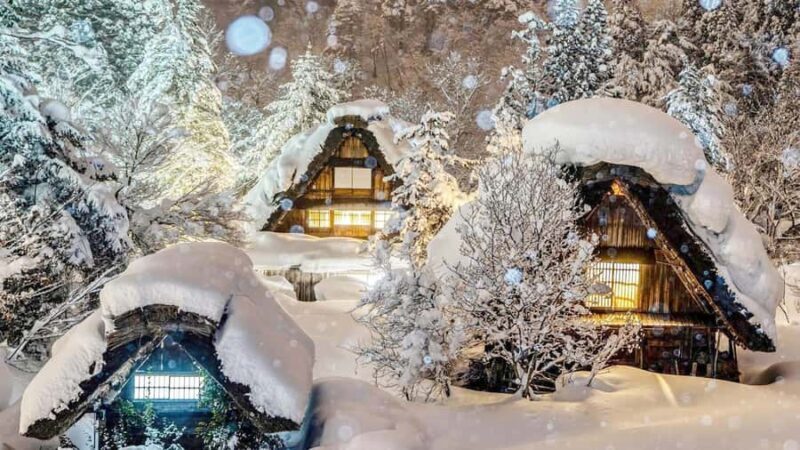 Nagoya : Shirakawa-go Magical Heritage & Takayama Day Tour - A Full Breakdown of the Tour Experience