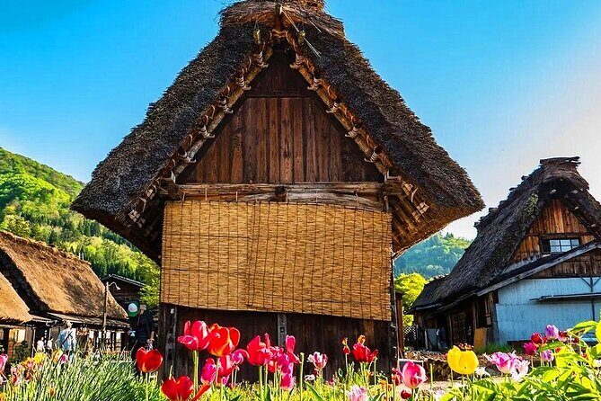 Nagoya Shirakawa go Private Transportation with English Driver - A Detailed Look at the Nagoya Shirakawa-go Private Tour