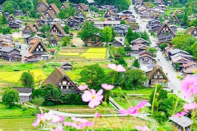Nagoya Shirakawa go Private Transportation with English Driver - The Itinerary in Detail