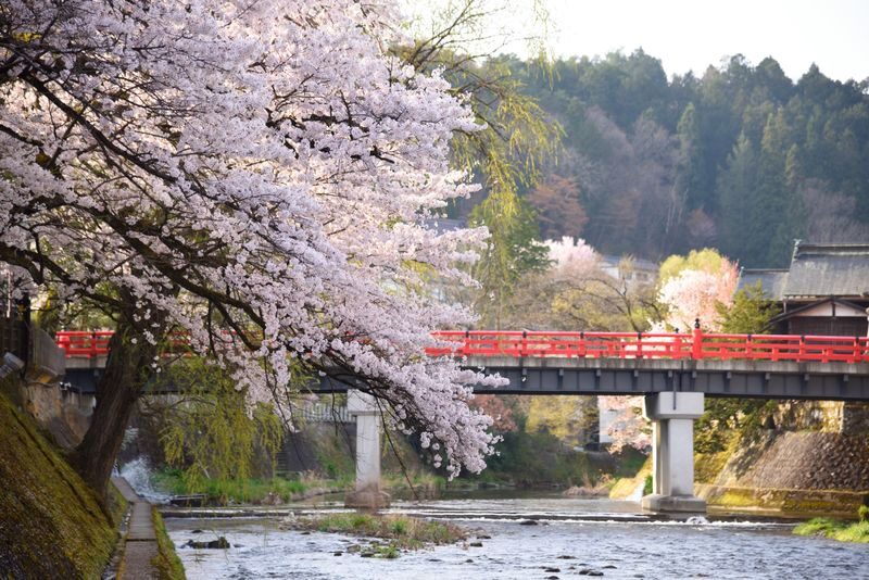 Nagoya Shirakawa-go & Takayama Jinya Full-Day UNESCO Tour - Food, fees, and what to bring