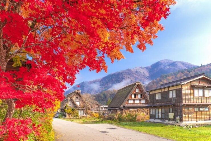 Nagoya Shirakawa-go Village and Takayama One Day Trip - Itinerary Highlights
