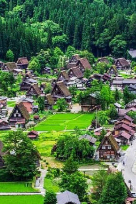 Nagoya Shirakawa-go Village and Takayama One Day Trip - Booking Your Experience