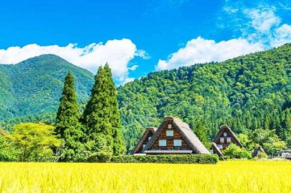 Nagoya Shirakawa-go Village and Takayama One Day Trip - Important Travel Information