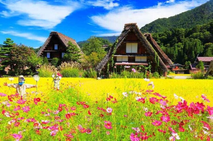 Nagoya: Shirakawa-go Village and Takayama UNESCO 1-Day Trip - Booking Details and Cancellation Policy