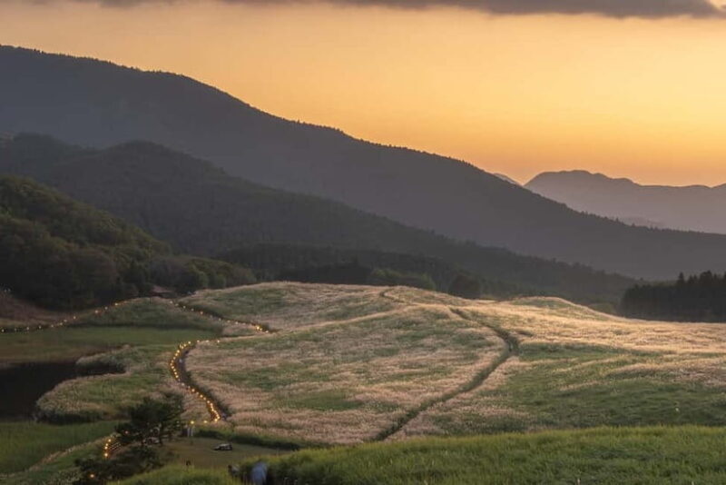 Nagoya: Soni Highlands & Akame 48 Waterfalls Guided Hike - What Travelers Say and What to Prepare