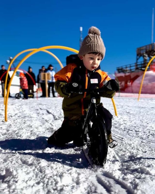 Nagoya: Takasu Snow Park Ski & Snowboard Day Trip - Practical Details and Tips