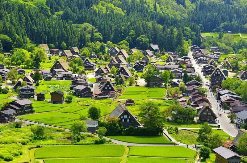 Nagoya, Takayama, Shirakawa-go, Gero Onsen Customized private tour - A private driver is most useful for your group