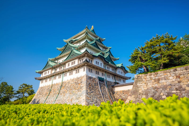 Nagoya, Takayama, Shirakawa-go, Gero Onsen Customized private tour - Know the language and the extra charges