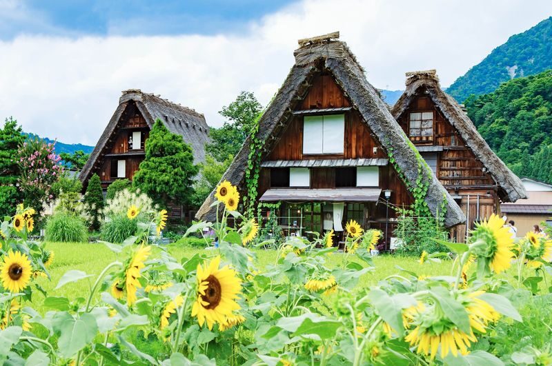 Nagoya to Shirakawa-go & Hida-Takayama Day Tour (including Hida beef meal) - Weather changes the mood, not just the photos
