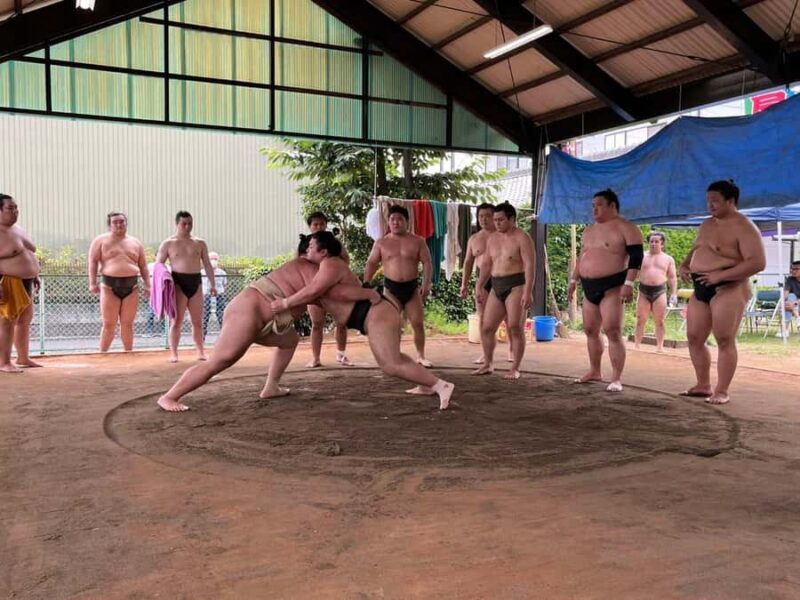 Nagoya: Visit Sumo Morning Practice with English Guide - The Itinerary Breakdown