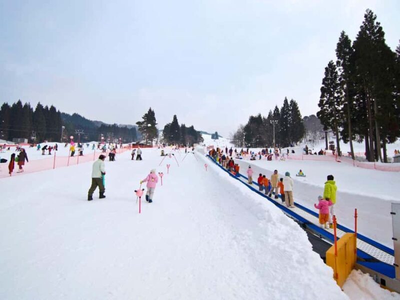 Nagoya: Washigatake Ski Resort Day Trip with Lift Ticket - The Itinerary: An Organized Yet Flexible Day