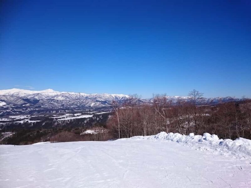 Nagoya: White Pia Takasu Ski Resort Day Trip with Lift Pass - The Slopes: 13 Courses to Explore