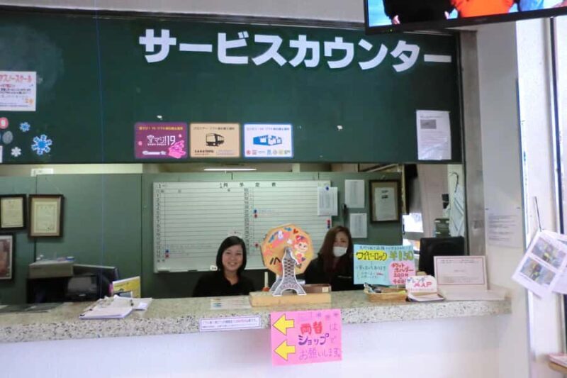 Nagoya: White Pia Takasu Ski Resort Day Trip with Lift Pass - Free Time and Snow Fun