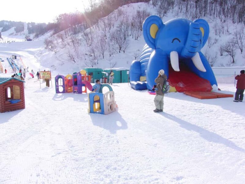 Nagoya: White Pia Takasu Ski Resort Day Trip with Lift Pass - Who Would Love This Trip?