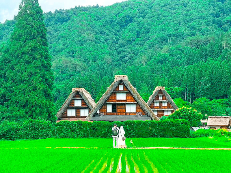Nagoya World Heritage Shirakawa-go & Kanazawa Castle 2-Day Tour - A two-day route from Nagoya into central Japan