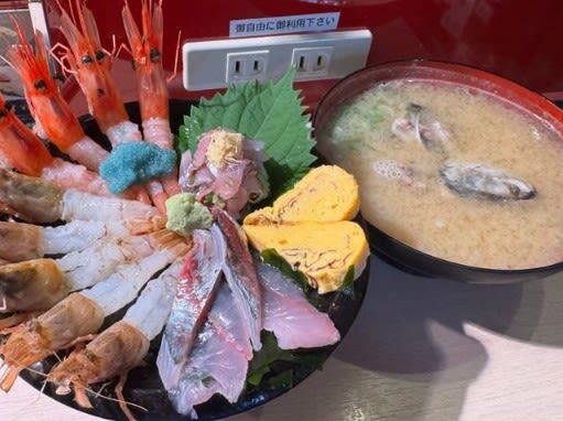 Nagoya World Heritage Shirakawa-go & Kanazawa Castle 2-Day Tour - The bus ride, group size, and guide style