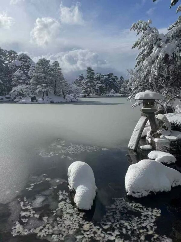 Nagoya World Heritage Shirakawa-go & Kanazawa Castle 2-Day Tour - Is the price good value?