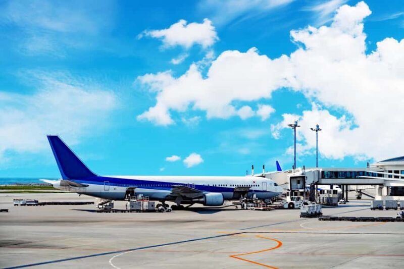 Naha: Airport Food Tour for a Delicious Start or Farewell - What You Can Expect from the Naha Airport Food Tour